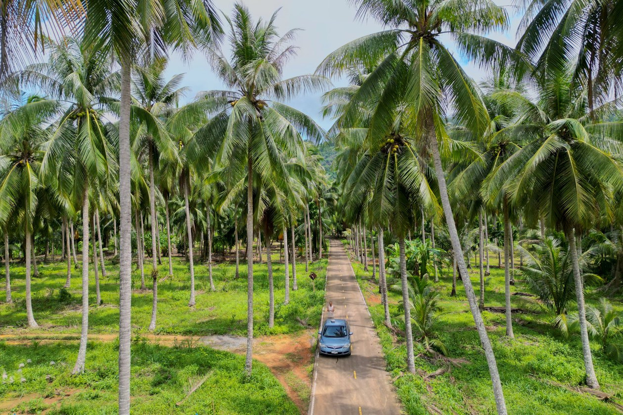 Drone view above a coconut plantation road on Koh Chang